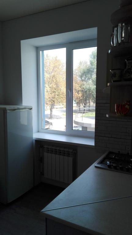 Apartment On Kryvorizhstal Street 35-24 Kryvyj Rih Eksteriør billede